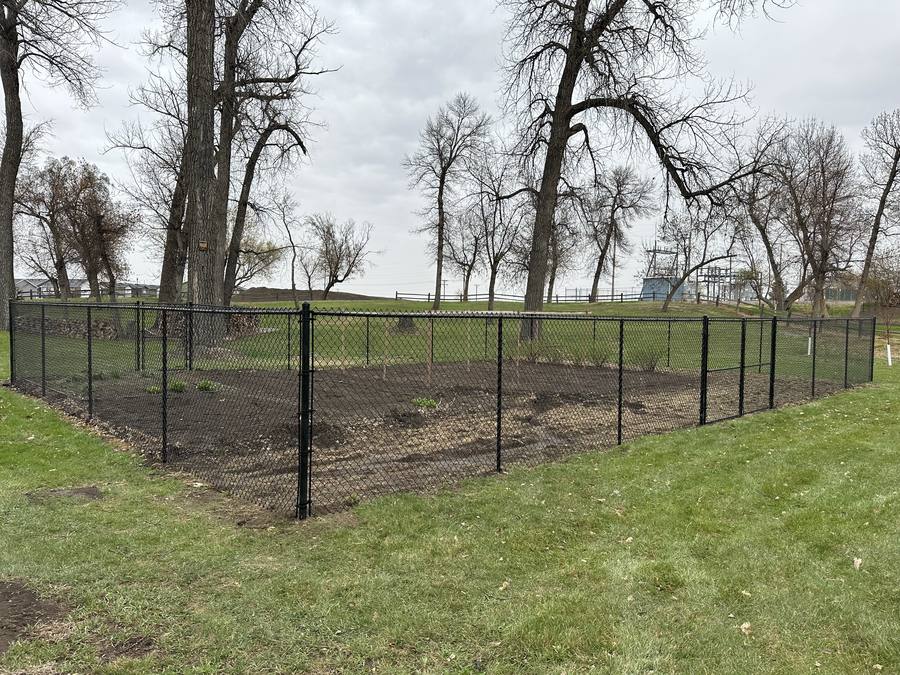 Black chain link fence